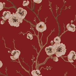 Sakura in Bloom - Red | Wall coverings / wallpapers | Feathr
