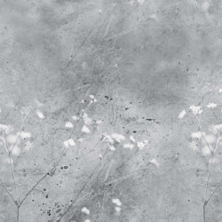 Summer Fields - Monochrome | Wall coverings / wallpapers | Feathr