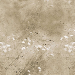 Summer Fields - Sand | Wall coverings / wallpapers | Feathr