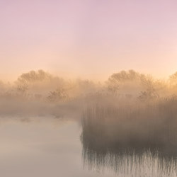 Sunrise River - Original | Wandbilder / Kunst | Feathr