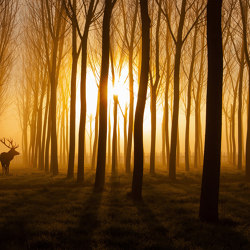 Sunrise Stag - Original | Wall coverings / wallpapers | Feathr