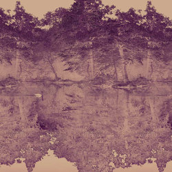 Swan - Lavender | Quadri / Murales | Feathr