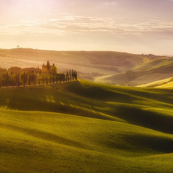 Tuscany - Original | Wall coverings / wallpapers | Feathr