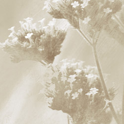 Verbena Fabric - Cream | Tissus de décoration | Feathr