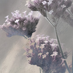 Verbena Fabric - Purple | Tejidos decorativos | Feathr
