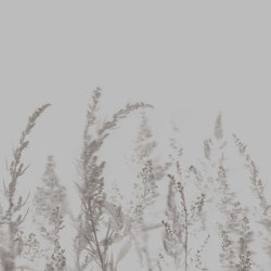 Windy Meadow - Cloudy Grey | Carta parati / tappezzeria | Feathr