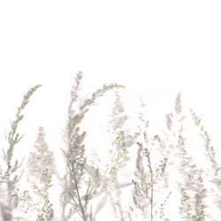 Windy Meadow - White Mist | Wall coverings / wallpapers | Feathr