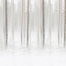 Winter Birch - Original | Colour grey | Feathr