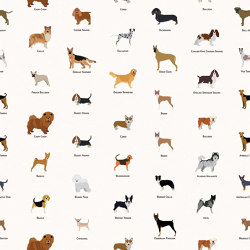 Woof Wall - Original | Wall coverings / wallpapers | Feathr