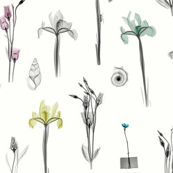 X-Ray Botanics 01 - Spring | Wandbeläge / Tapeten | Feathr