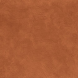 ARGILE TERRE DE SIENNE | Colour brown | Casamance