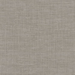 SHINOK GRIS FER | Wall coverings / wallpapers | Casamance