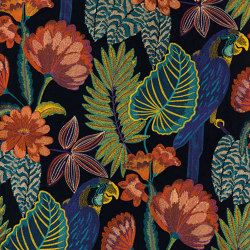 ARAPSODIE NOIR DE LUNE MULTICO | Pattern plants / flowers | Casamance