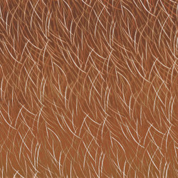 EUPHORBE TERRACOTTA | Tessuti decorative | Casamance