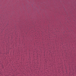 PANDOMO Studio Noble Clove - S18 | Colour pink / magenta | PANDOMO