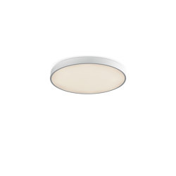 Penny | Ceiling lights | PAN