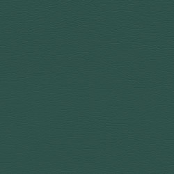 Ultraleather | Emerald | Tissus d'ameublement | Ultrafabrics