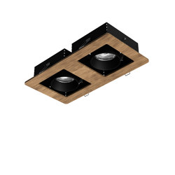 Wood Downlight Pure Twin Spot | General lighting | LIGHTGUIDE AG
