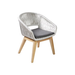 Dalia Dining Armchair  | Chairs | cbdesign