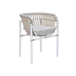 Ellisse Dining Armchair  | Chairs | cbdesign