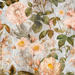 Walls By Patel 4 | Wallpaper Down To Earth | Rose | Carta parati / tappezzeria | Architects Paper