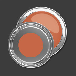 Puro Wandfarbe | c9006 - dusty orange