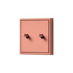 LS 1912 in Les Couleurs® Le Corbusier Switch in The medium terracotta | Interruptores a palanca | JUNG
