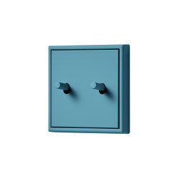 LS 1912 in Les Couleurs® Le Corbusier Switch in The luminous cerulean | Toggle switches | JUNG