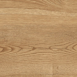 Nordic Wood | Blonde | Wall tiles | Novabell