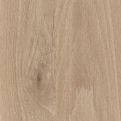 Faggio Kajus | Wood panels | Pfleiderer
