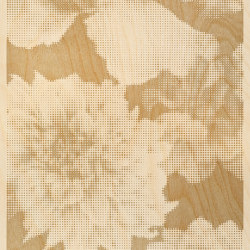 Mayflowers | Wood panels | Inkiostro Bianco