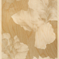 Mayflowers | Wood panels | Inkiostro Bianco