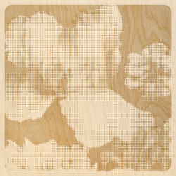 Mayflowers | Pannelli legno | Inkiostro Bianco