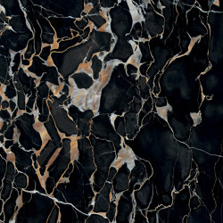 Black natural stones | Nero Portoro | Natural stone tiles | Margraf