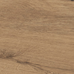 Jungla | Iroko | Carrelage céramique | Grespania Ceramica