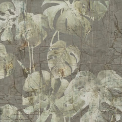 Filodendro | 540_005 | Carta parati / tappezzeria | Taplab Wall Covering