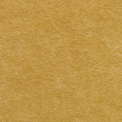 EchoPanel® 24mm Plain 124 | Sistemi assorbimento acustico parete | Woven Image