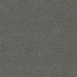 EchoPanel® 24mm Plain 447 | Schalldämpfende Wandsysteme | Woven Image