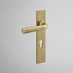 Manilla para puertas Apsley con placa larga (con muelle) | Hinged door fittings | Corston Architectural Detail