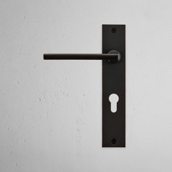 Manilla para puertas Clayton con placa larga (con muelle) | Hinged door fittings | Corston Architectural Detail