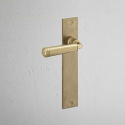 Digby Maniglia per porta con molla e nottolino su placca lunga | Hinged door fittings | Corston Architectural Detail