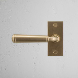 Digby Short Plate Sprung Door Handle | Hinged door fittings | Corston Architectural Detail