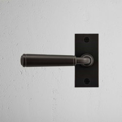 Digby Short Plate Sprung Door Handle | Hinged door fittings | Corston Architectural Detail