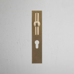 Harper T-Stange gefederter Türgriff langes Schild | Hinged door fittings | Corston Architectural Detail