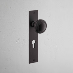 Poplar Long Plate Sprung Door Knob | Boutons de porte | Corston Architectural Detail