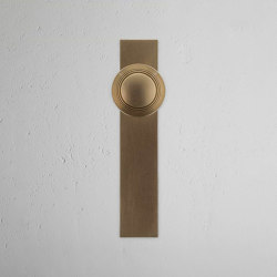 Poplar Pomello per porta con Molla e Nottolino su Placca Lunga | Hinged door fittings | Corston Architectural Detail