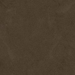 FLORIM skin | Dust Brown