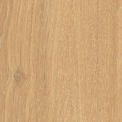 Oaky Life | Golden Oak | Keramik Platten | FLORIM