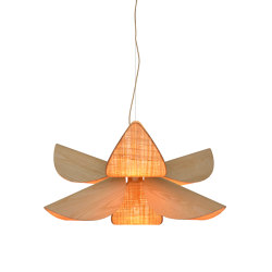 Lys | Pendant lamp | L wood | Suspended lights | Forestier