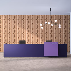basic C Reception system | Counters | werner works